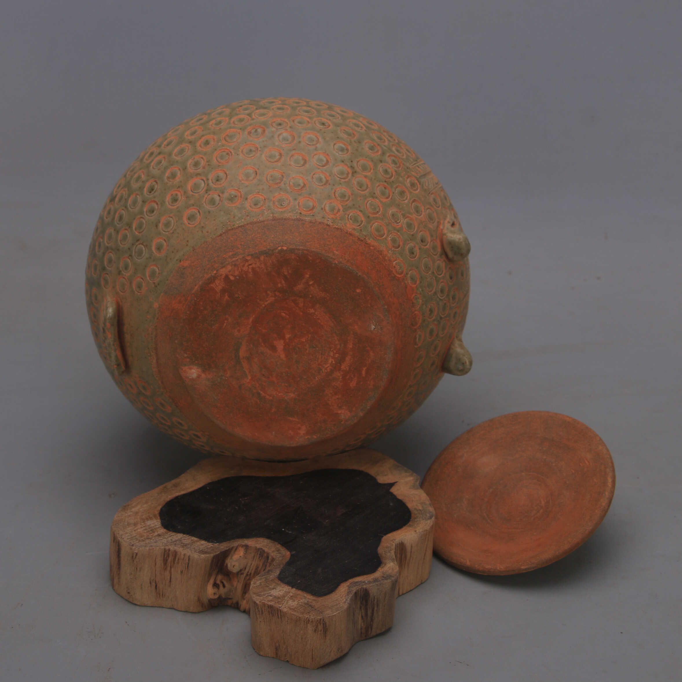 Tang Dynasty Yue Ware Celadon  - Vintage Collectible Pottery ulasan dan harga